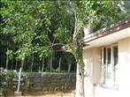 House for sale at Cock Burn Road, Yercaud, Salem